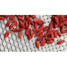 Factory price Wolfberry  Berry Organic Goji Berry Market Price Goji Berry